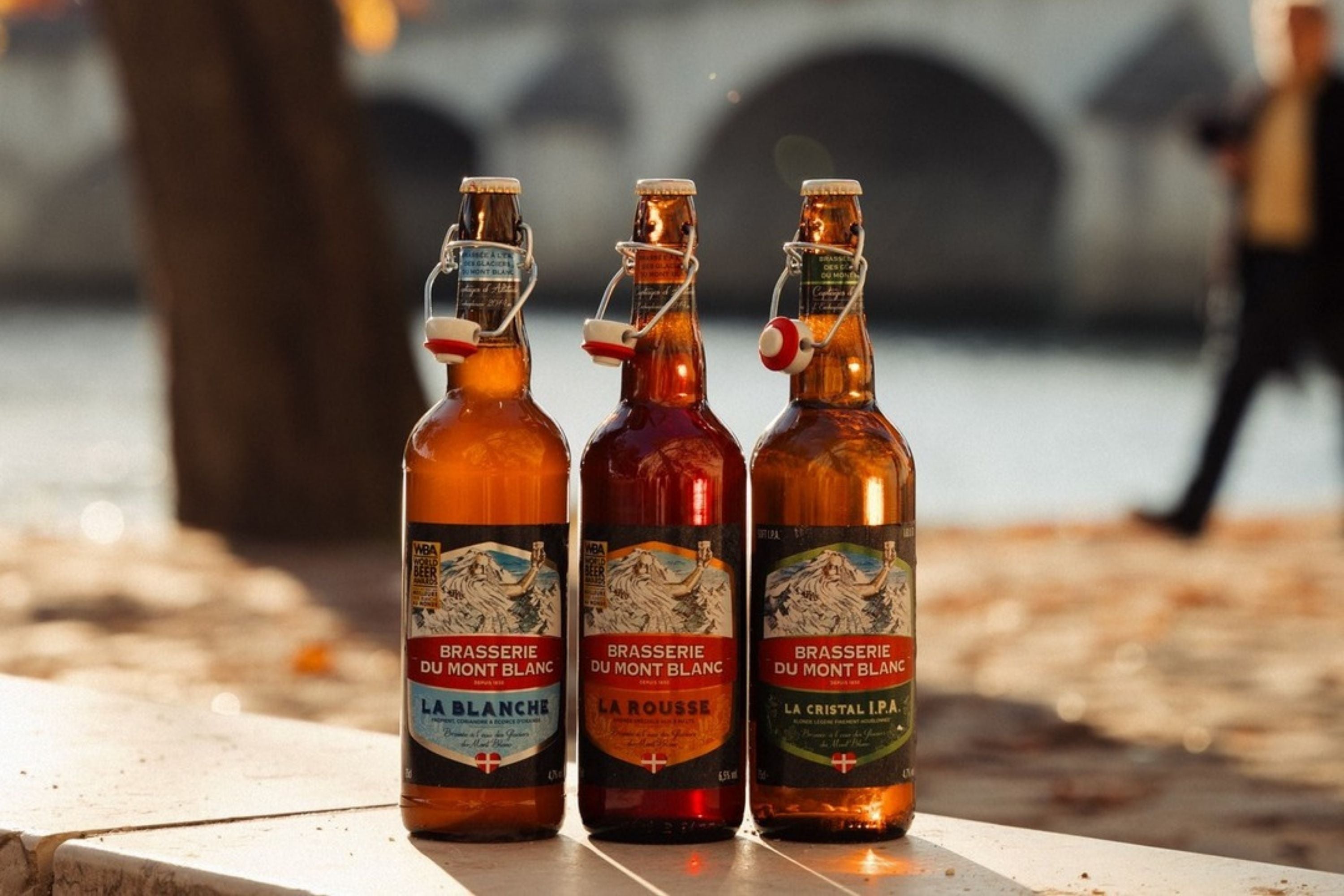 Where to Buy French Beer in New Zealand | Maison Vauron